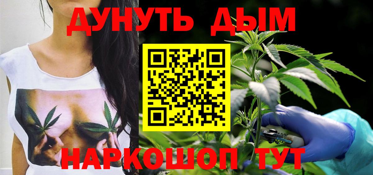 Каннабис план Обнинск